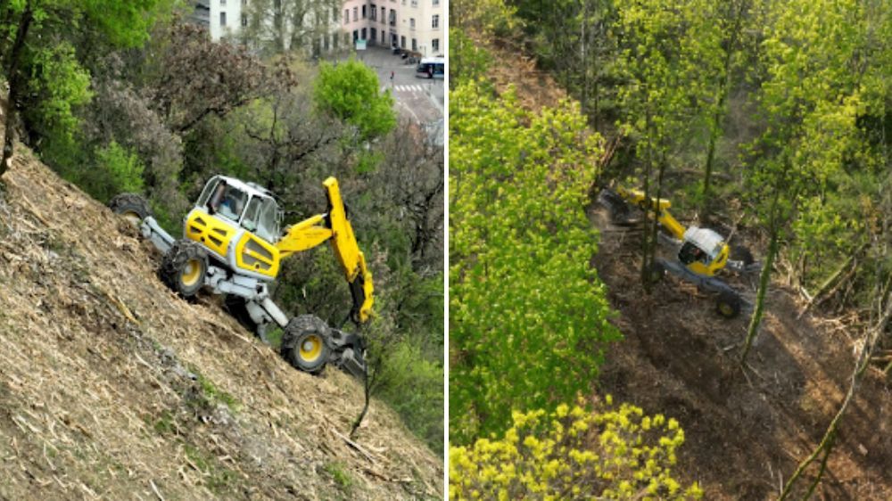 Grenoble - Débroussaillage à la Bastille à Grenoble (38).jpg